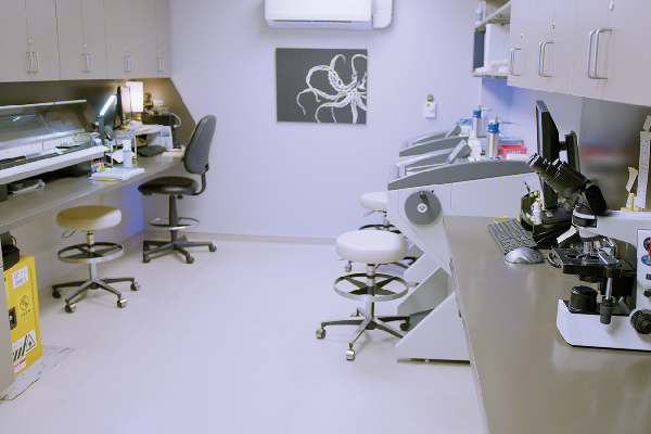 Skin Cancer Center gallery image