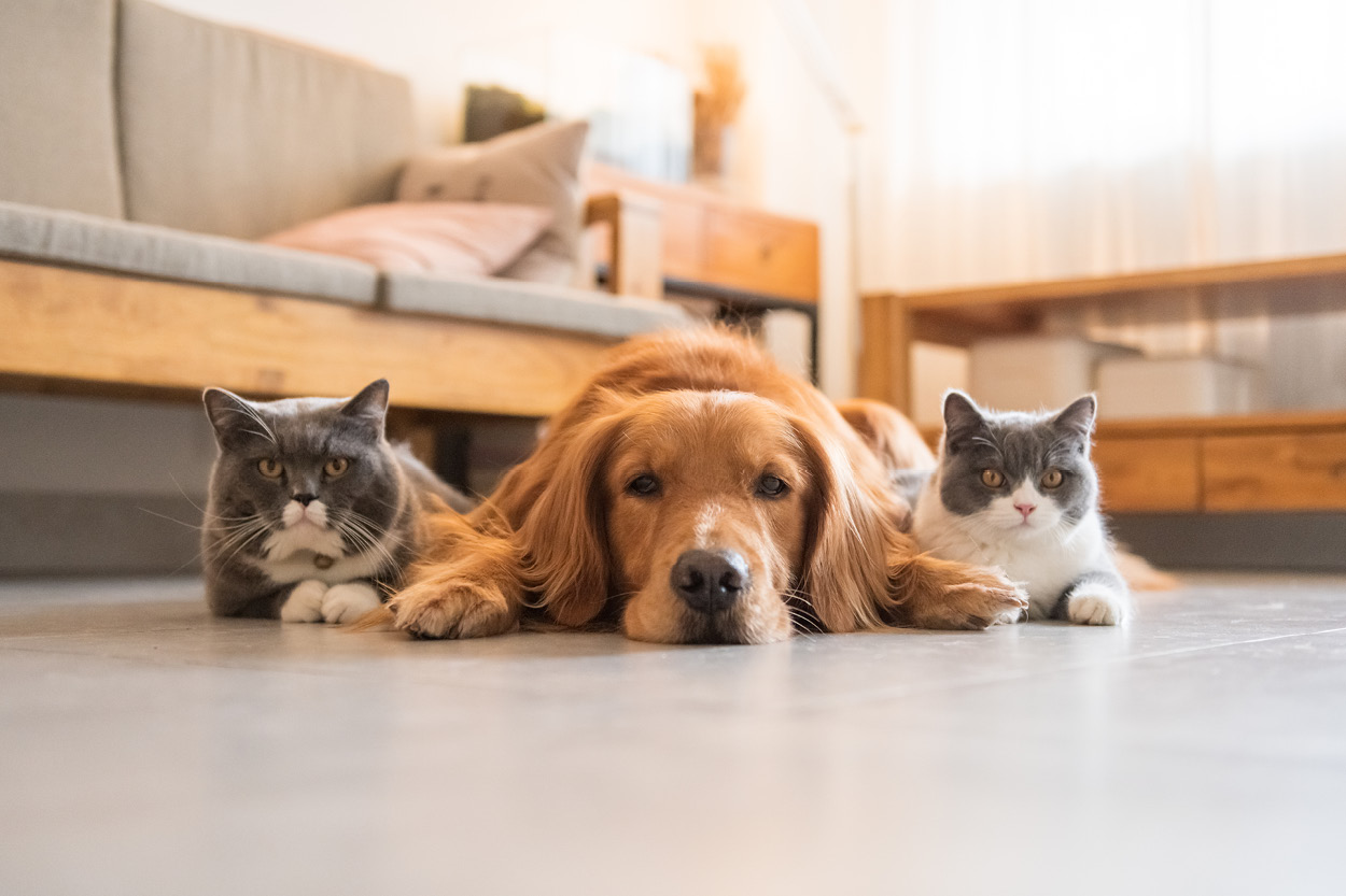 The Best Kind of Company